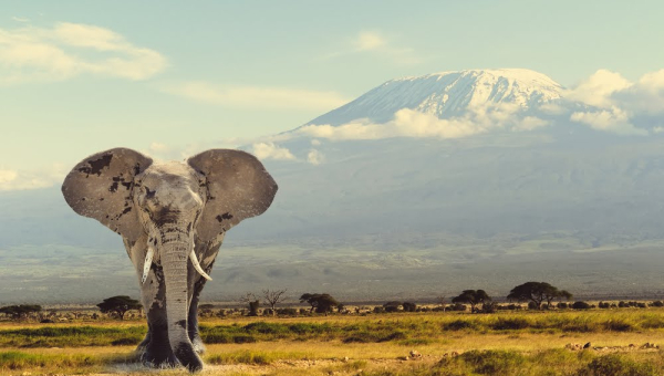 VIAGGIO CON CATE: La Tanzania delle savane, dei laghi, degli uomini